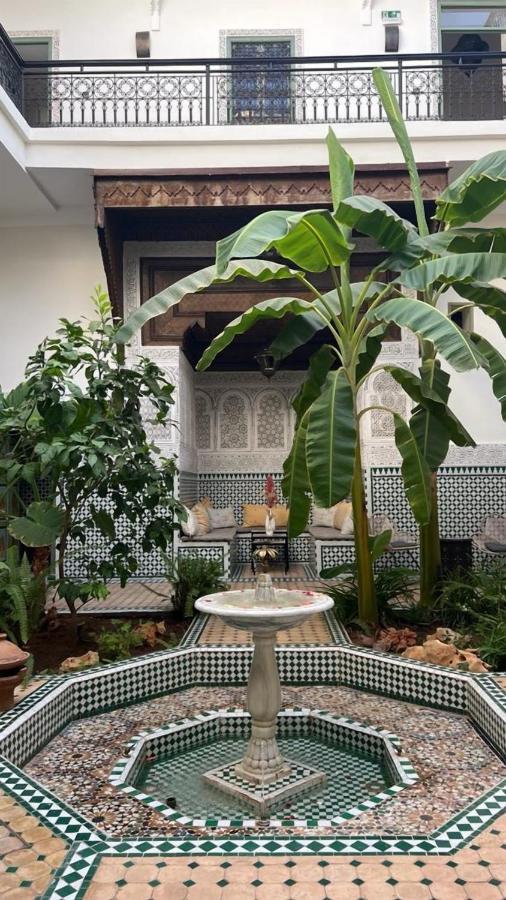 Afous Marrakesch